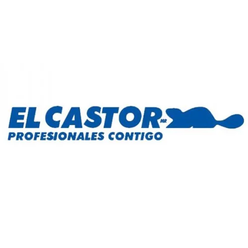 CASTOR